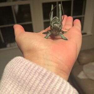 Bronze grasshopper